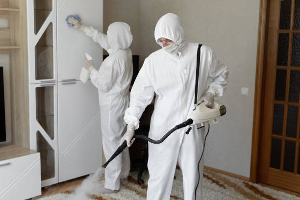 Professional Mold Remediation in Citrus Heights, CA